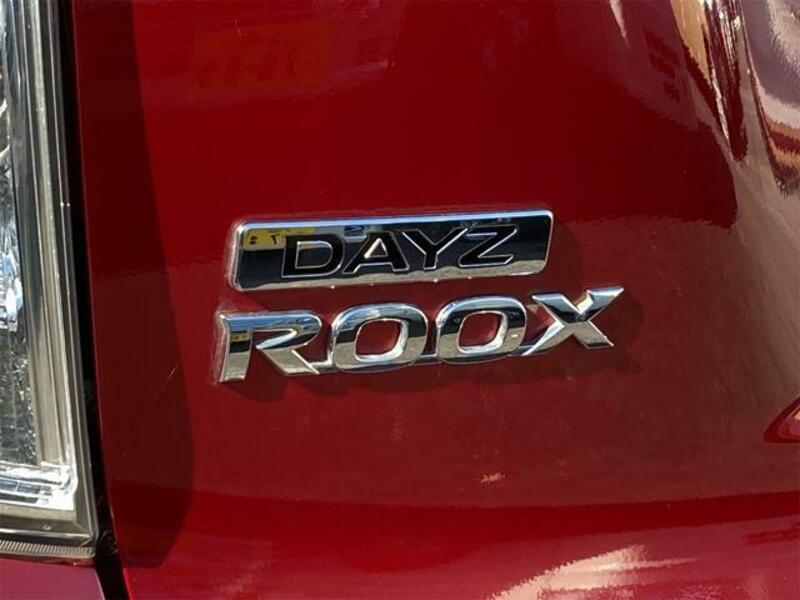 DAYZ ROOX