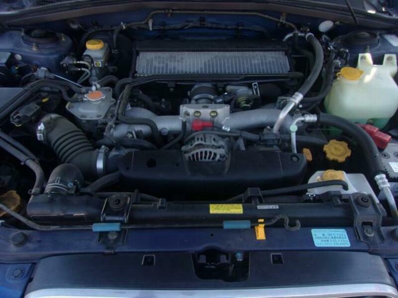 FORESTER