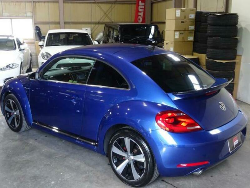 THE BEETLE