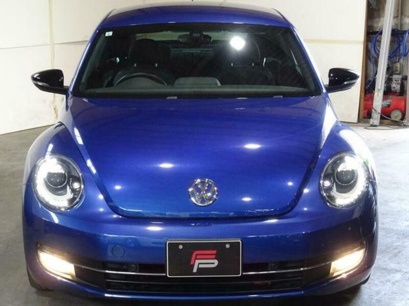 THE BEETLE