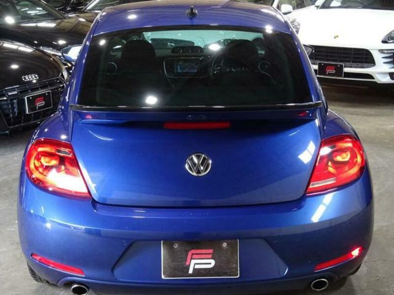 THE BEETLE