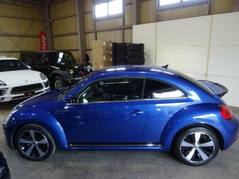THE BEETLE
