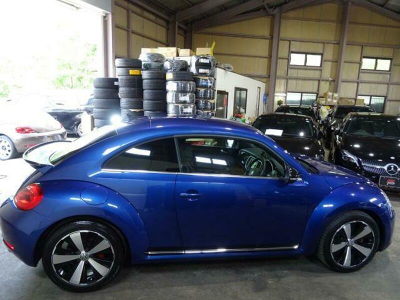 THE BEETLE