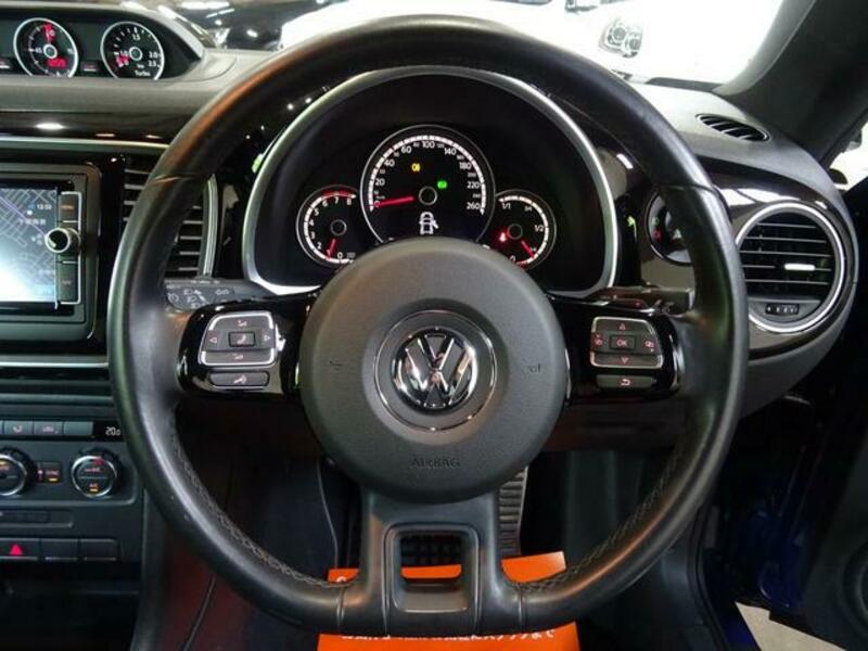 THE BEETLE