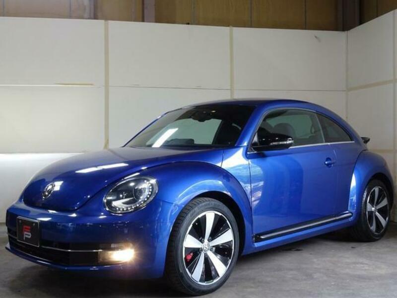 THE BEETLE