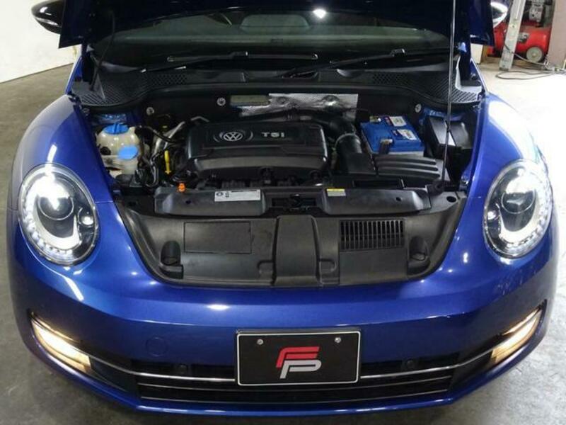 THE BEETLE