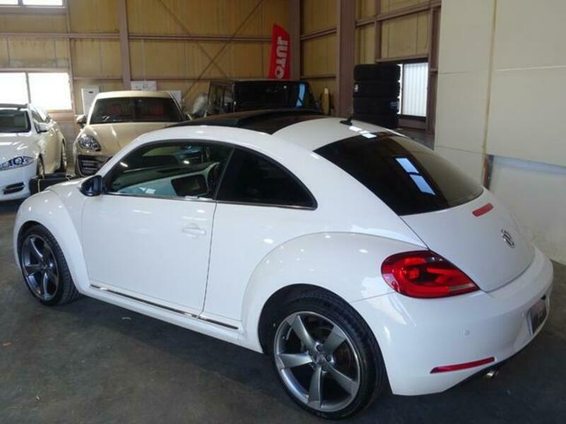 THE BEETLE