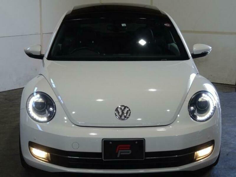THE BEETLE