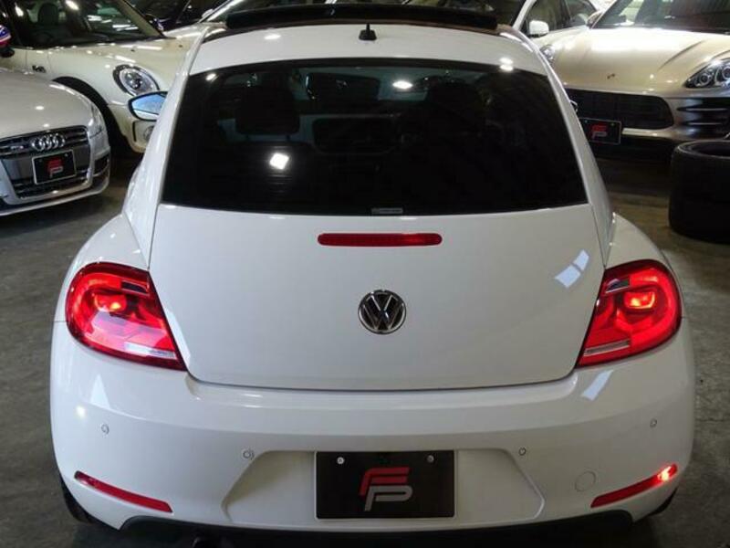 THE BEETLE