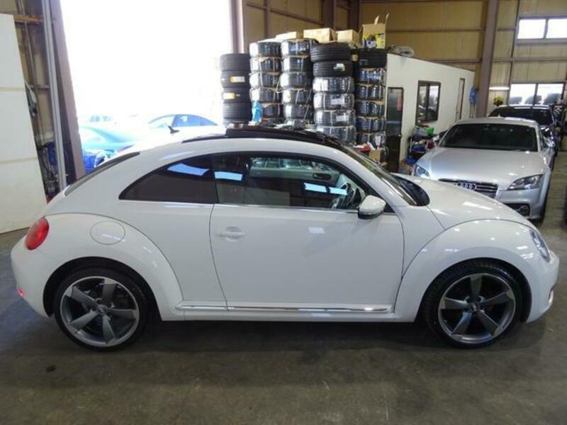 THE BEETLE