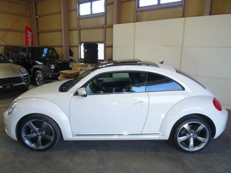 THE BEETLE