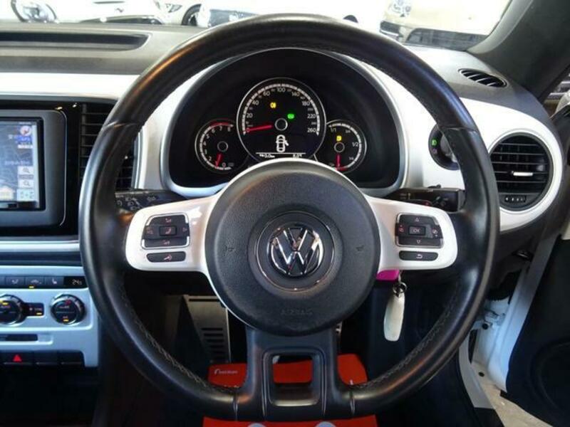 THE BEETLE