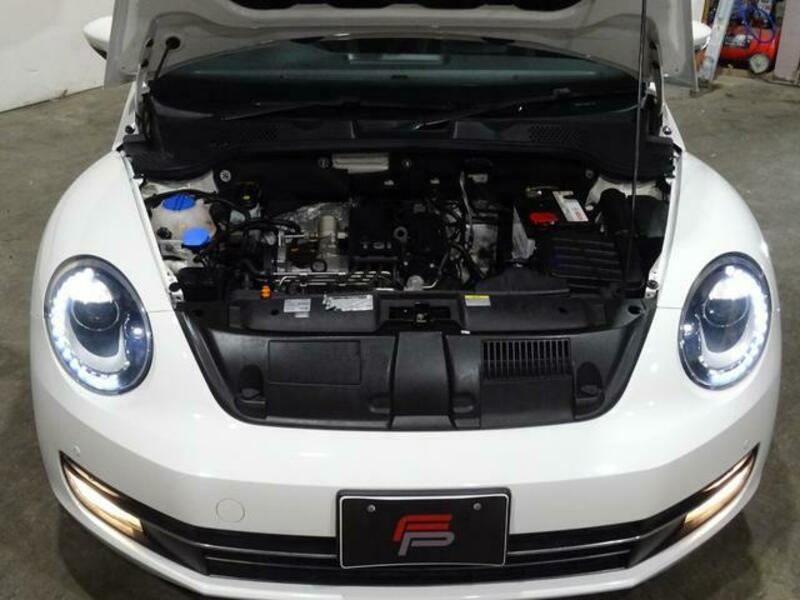 THE BEETLE