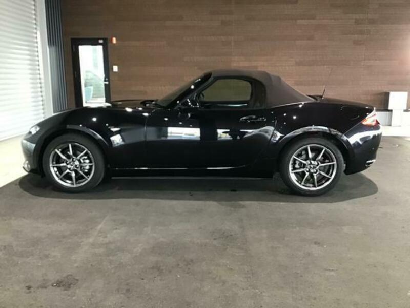 ROADSTER