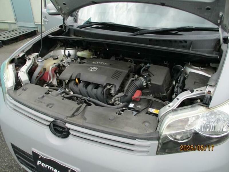 COROLLA RUMION