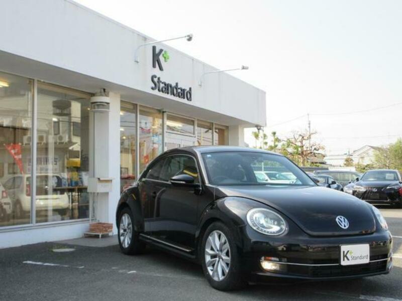 THE BEETLE