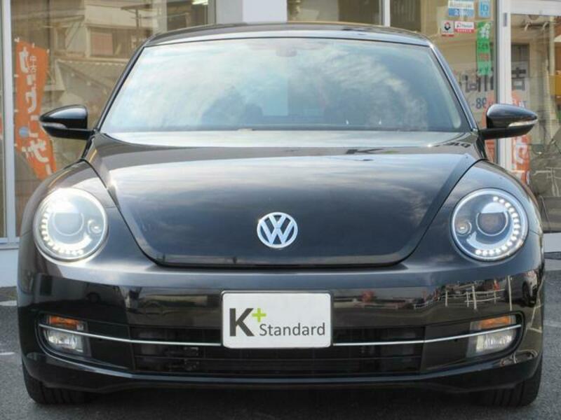 THE BEETLE
