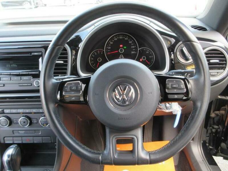 THE BEETLE