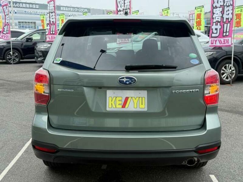 FORESTER