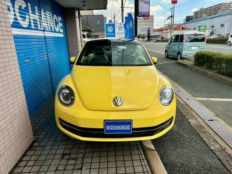 THE BEETLE
