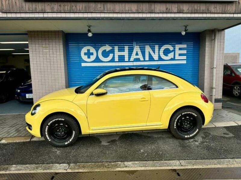 THE BEETLE