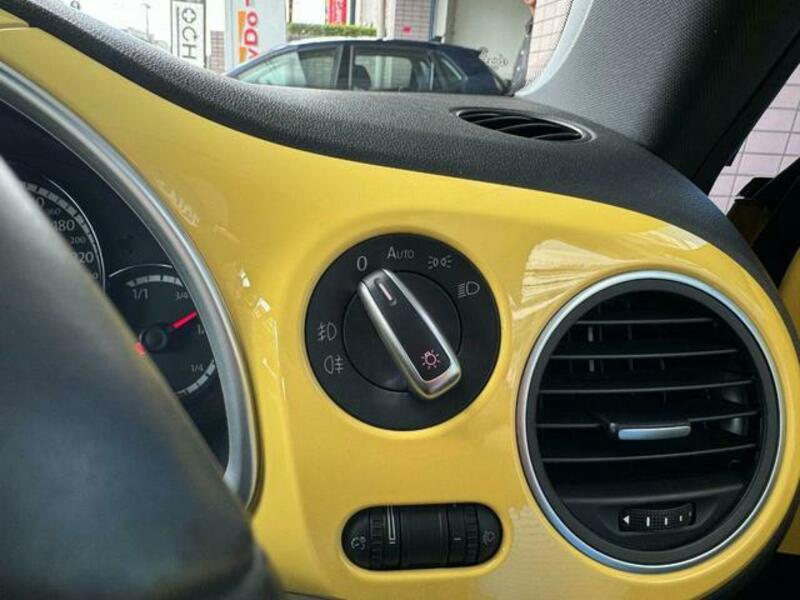 THE BEETLE
