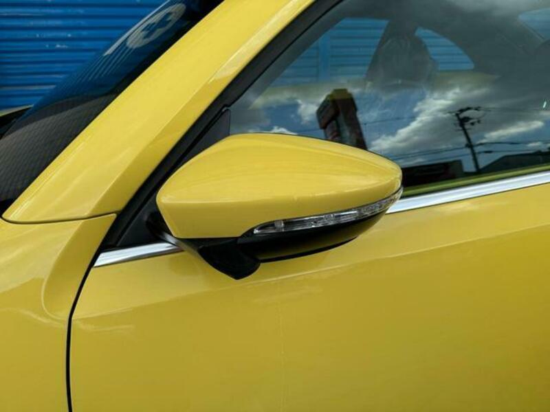THE BEETLE