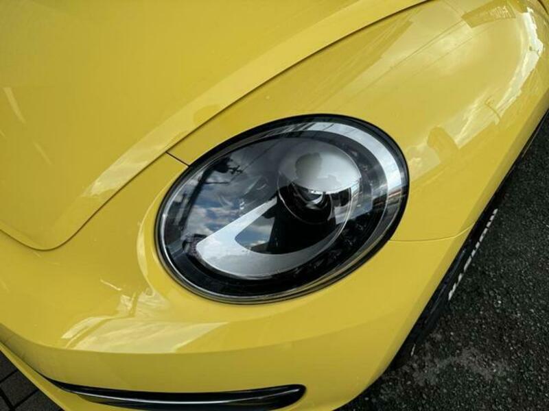 THE BEETLE