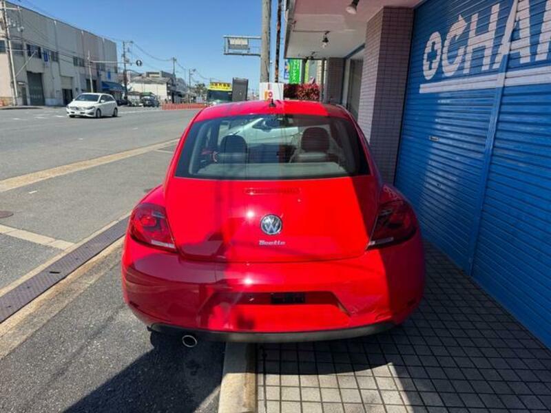 THE BEETLE