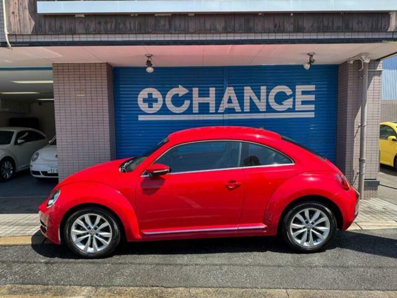 THE BEETLE