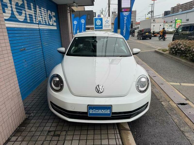 THE BEETLE