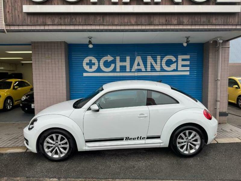 THE BEETLE