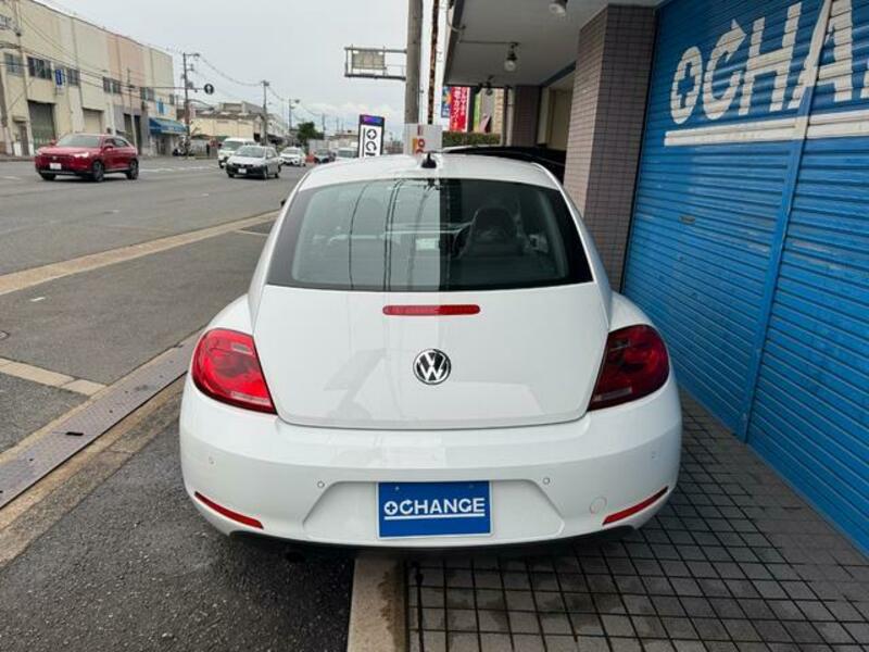 THE BEETLE
