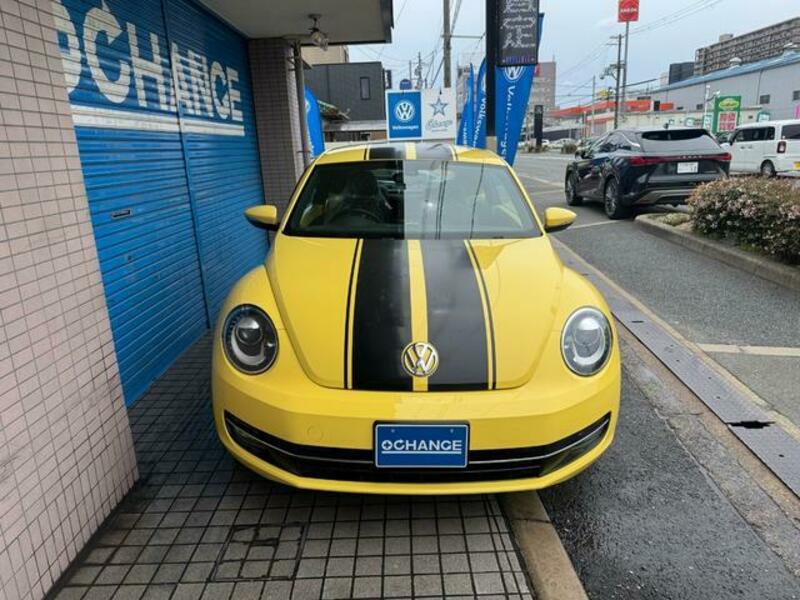 THE BEETLE