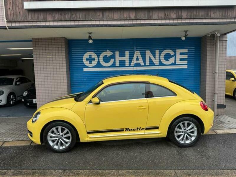 THE BEETLE