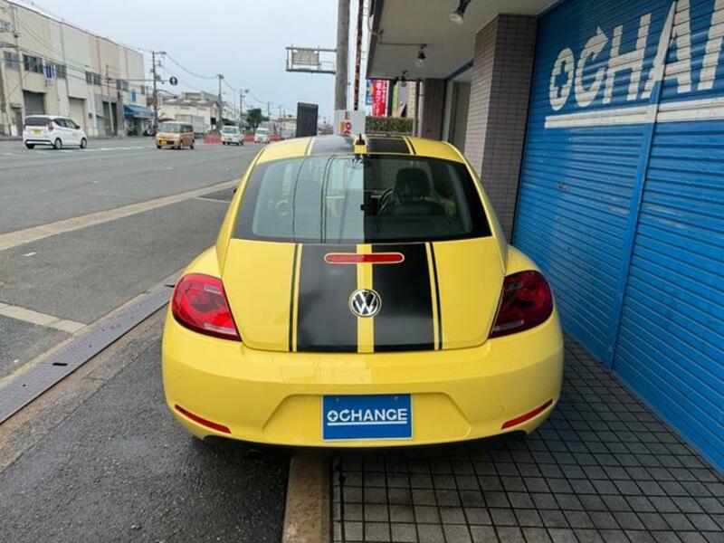 THE BEETLE