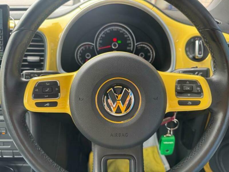 THE BEETLE
