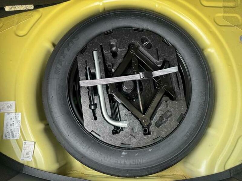 THE BEETLE