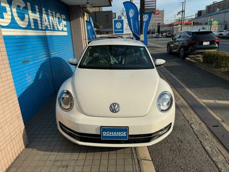 THE BEETLE