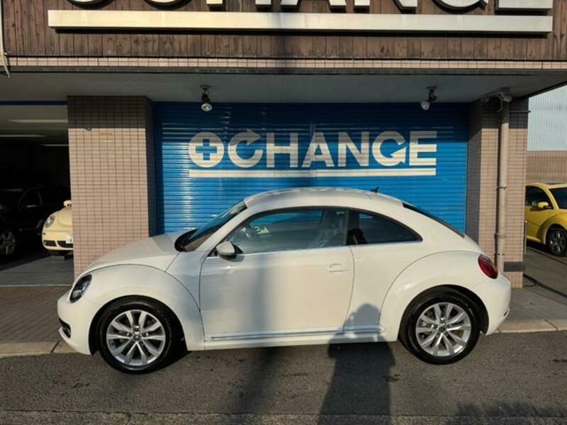 THE BEETLE