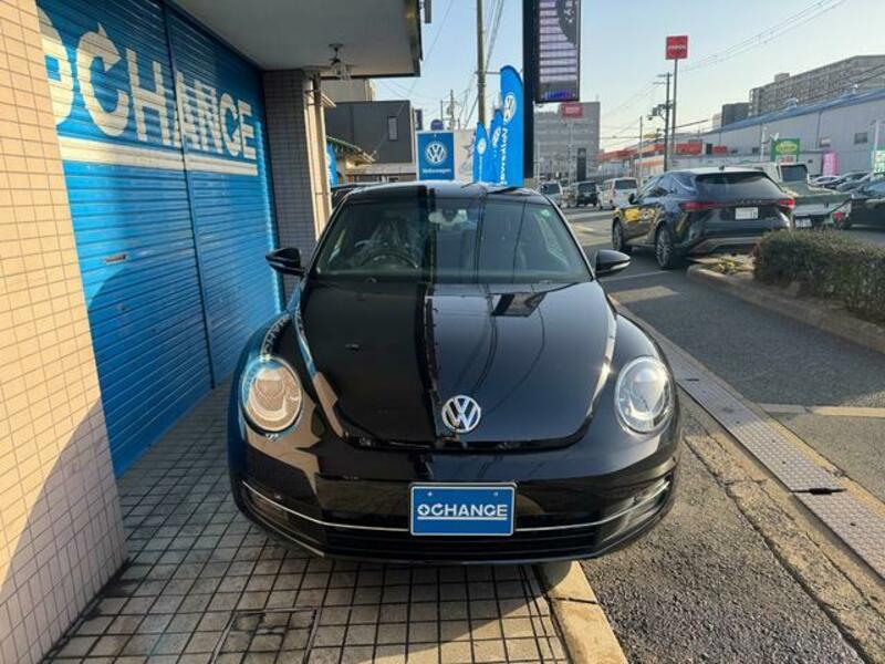 THE BEETLE