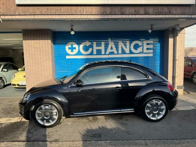 THE BEETLE