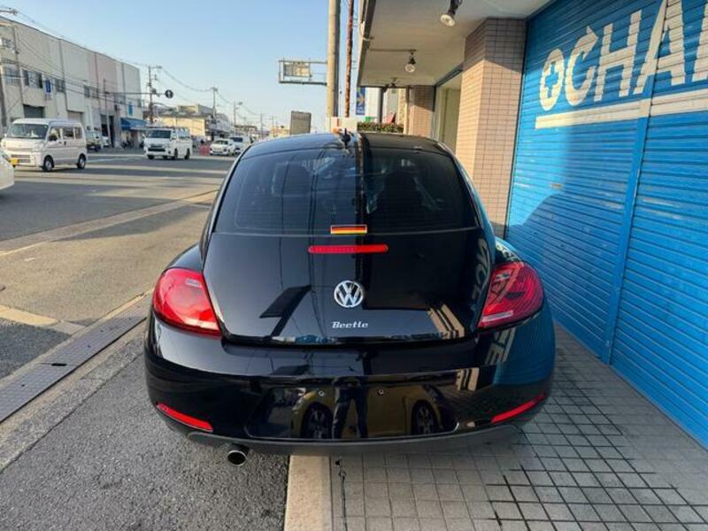 THE BEETLE