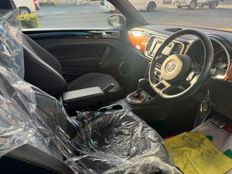 THE BEETLE