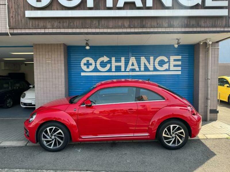 THE BEETLE