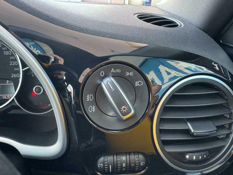 THE BEETLE