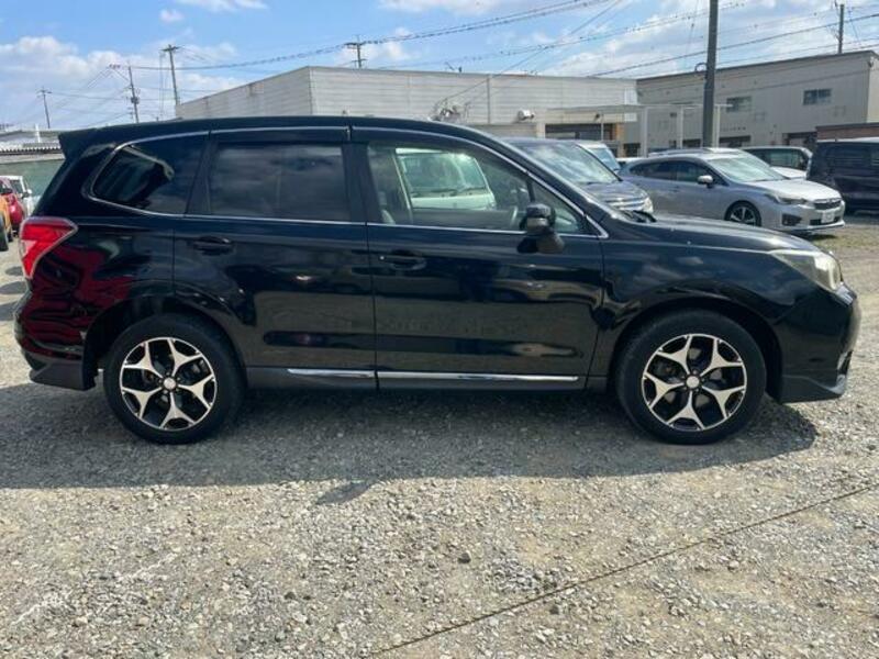 FORESTER