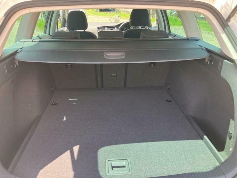 GOLF VARIANT