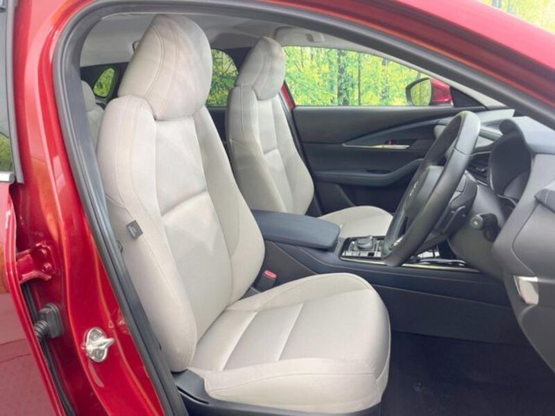 CX-30