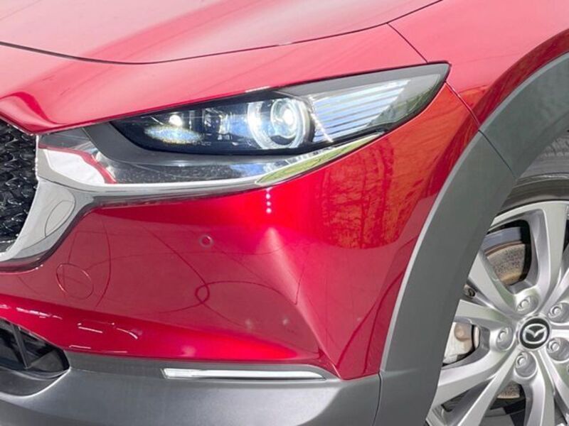 CX-30